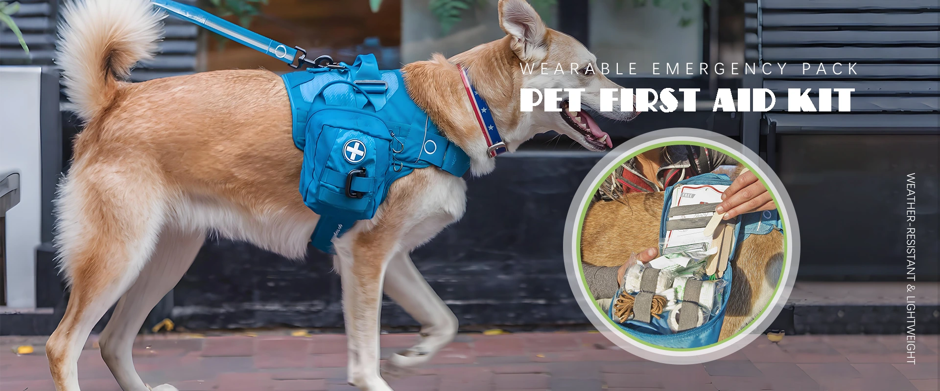 Pet First Aid Kit Producent